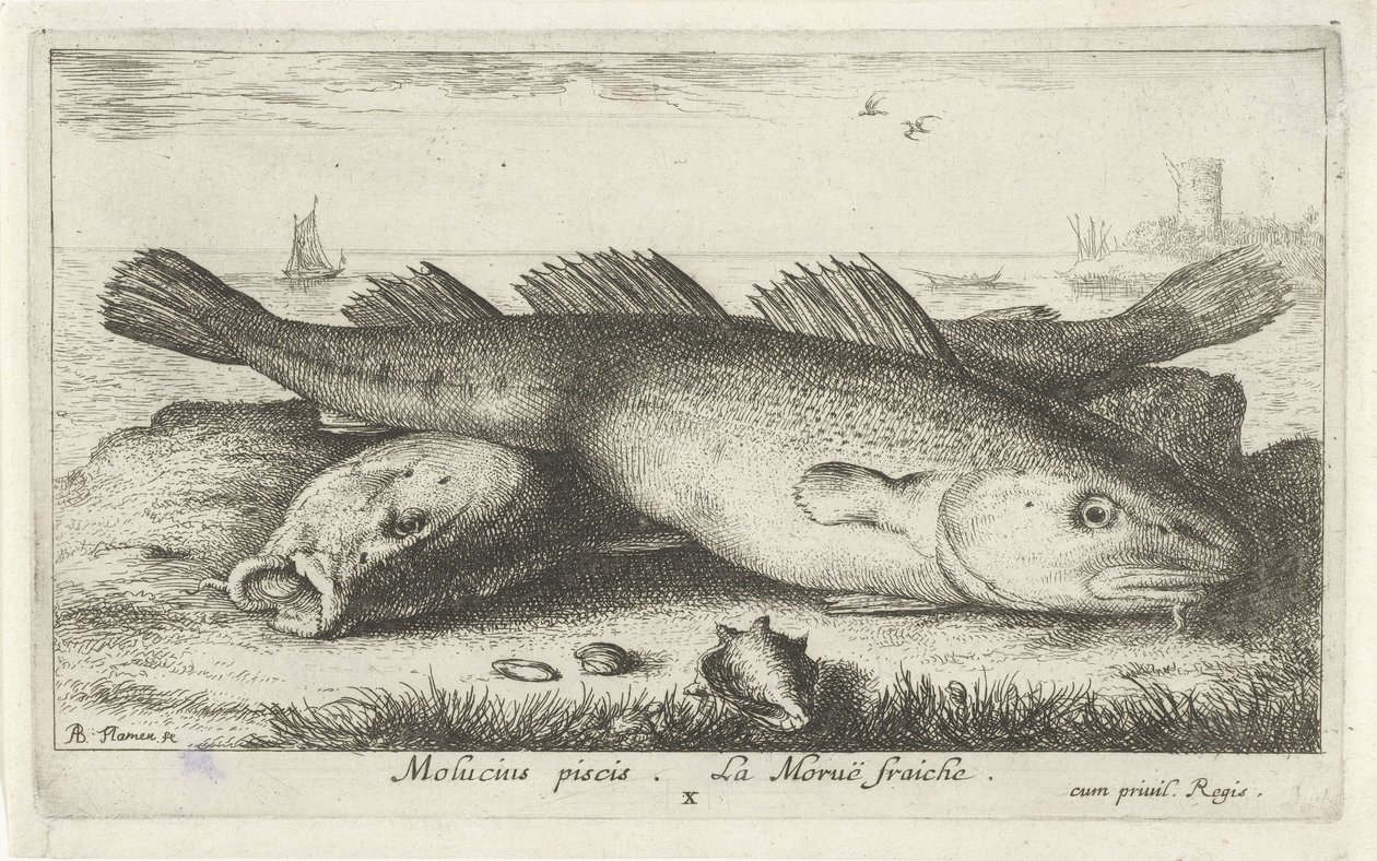 Deux morues sur la plage (Poissons de mer) - Albert Flamen
