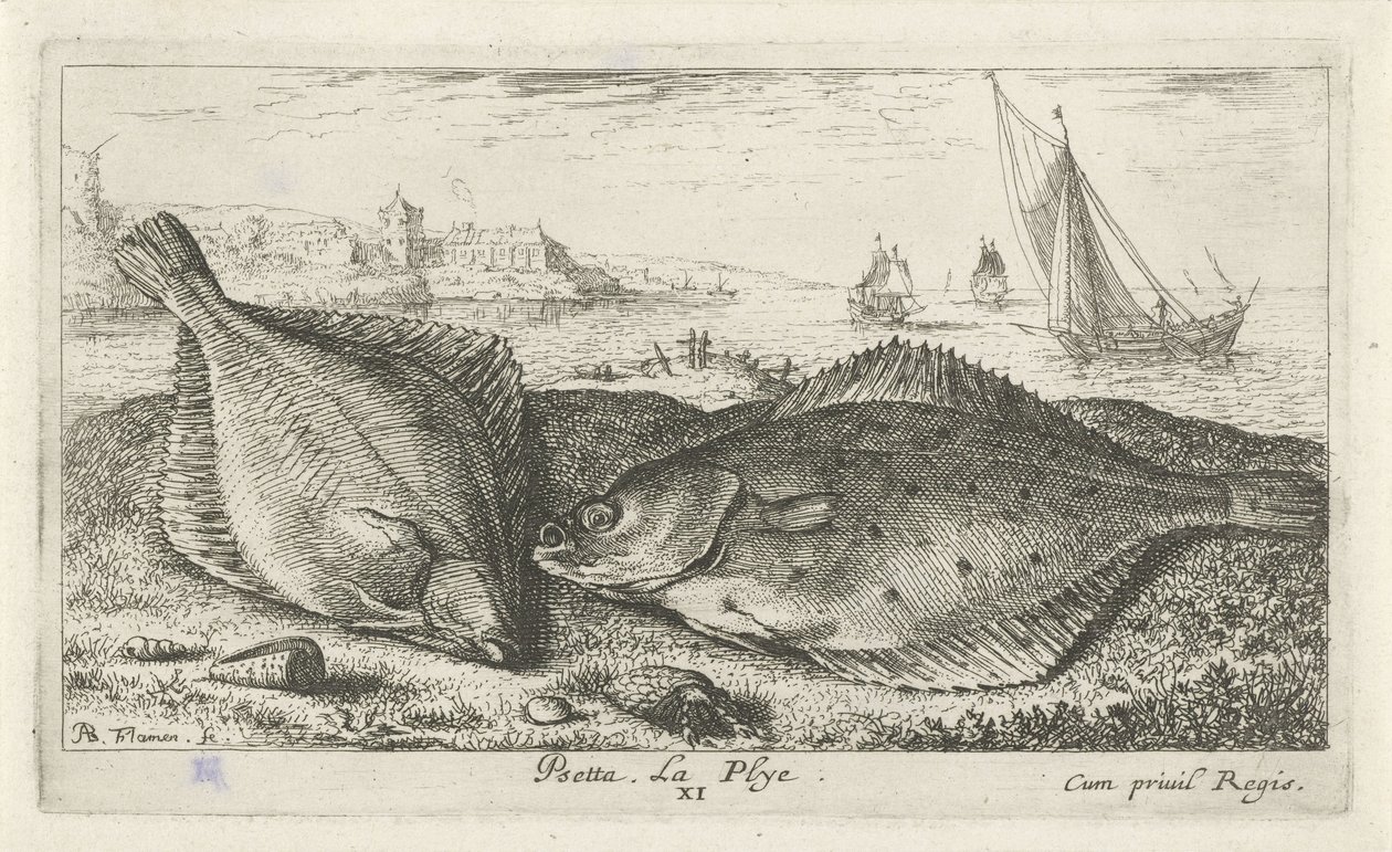 Deux poissons plats sur la plage - Albert Flamen