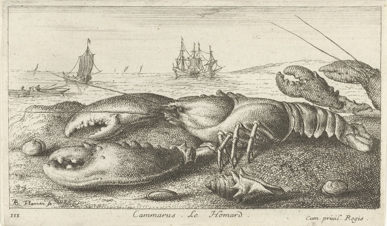 Homard sur la plage - Albert Flamen