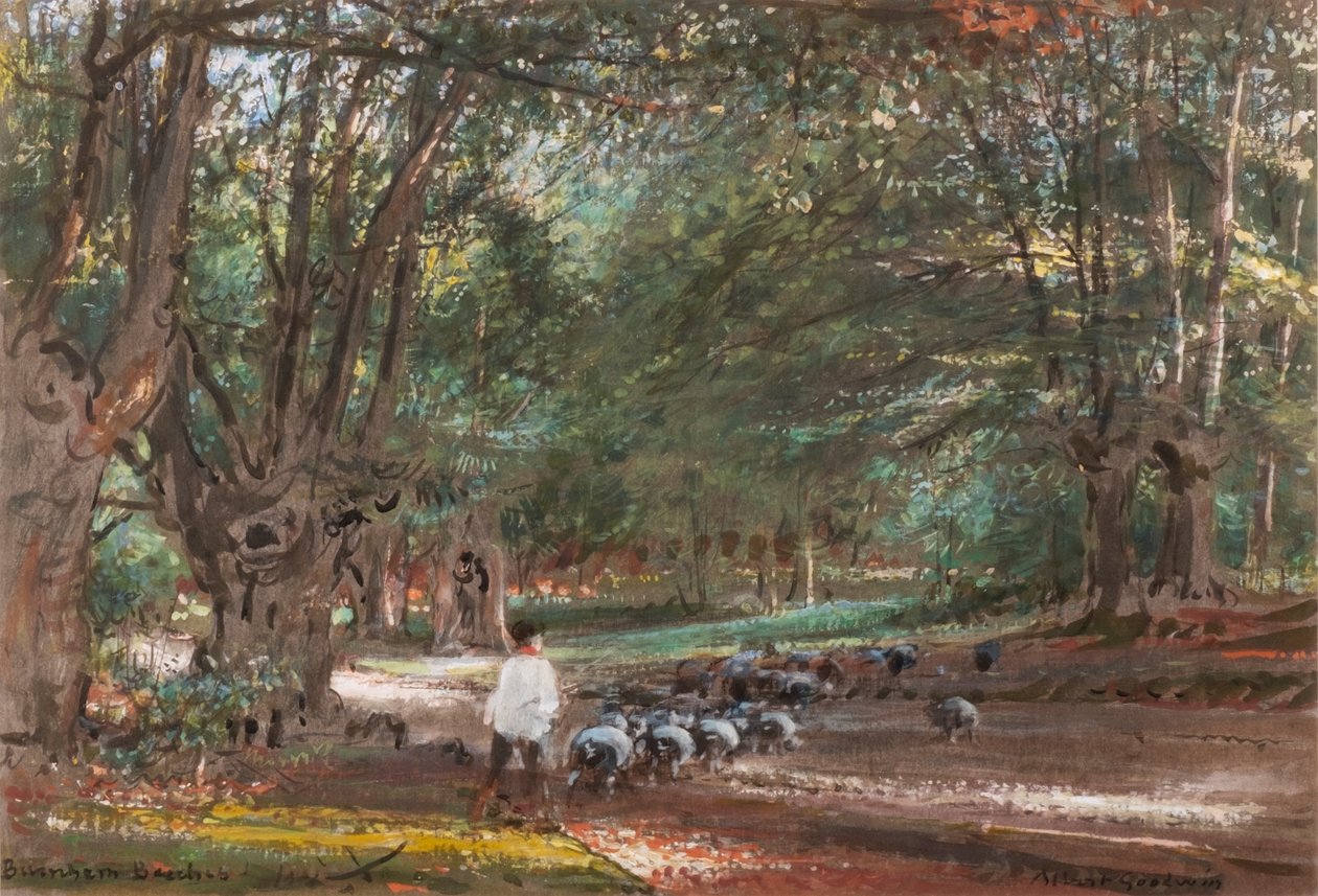 Burnham Beeches - Albert Goodwin