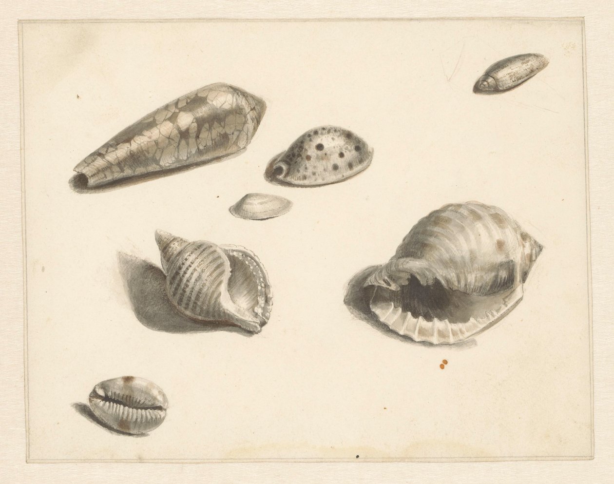 Feuille d