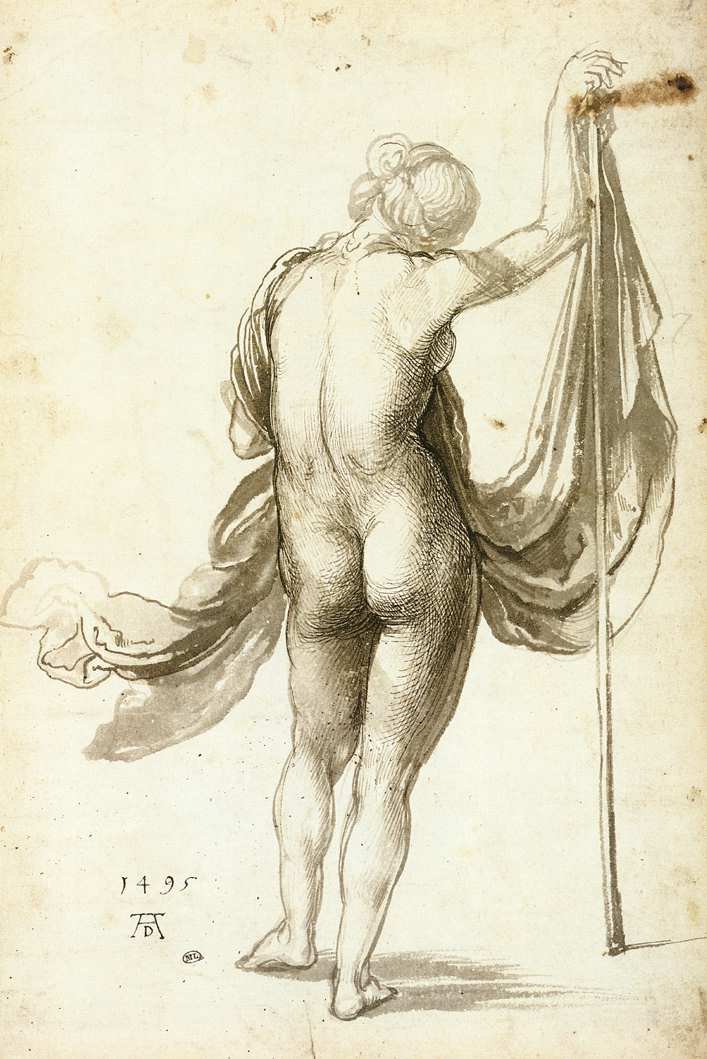 Nu féminin de dos - Albrecht Dürer