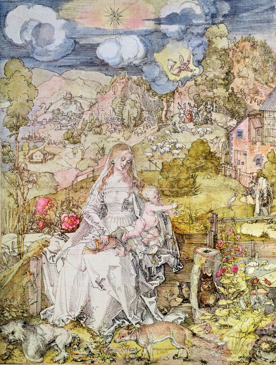 Madone et Enfant - Albrecht Dürer