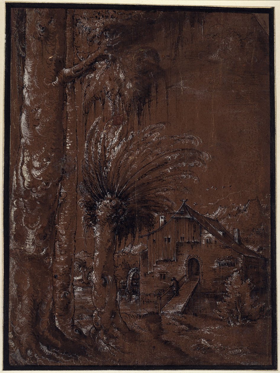 Paysage avec moulin à eau - Albrecht Altdorfer