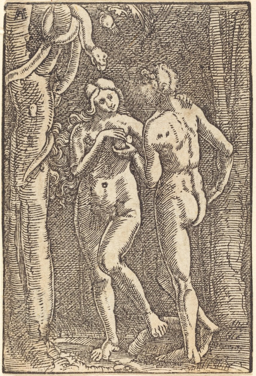 La chute de l