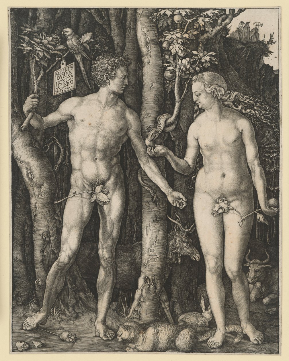 Le péché originel - Albrecht Dürer