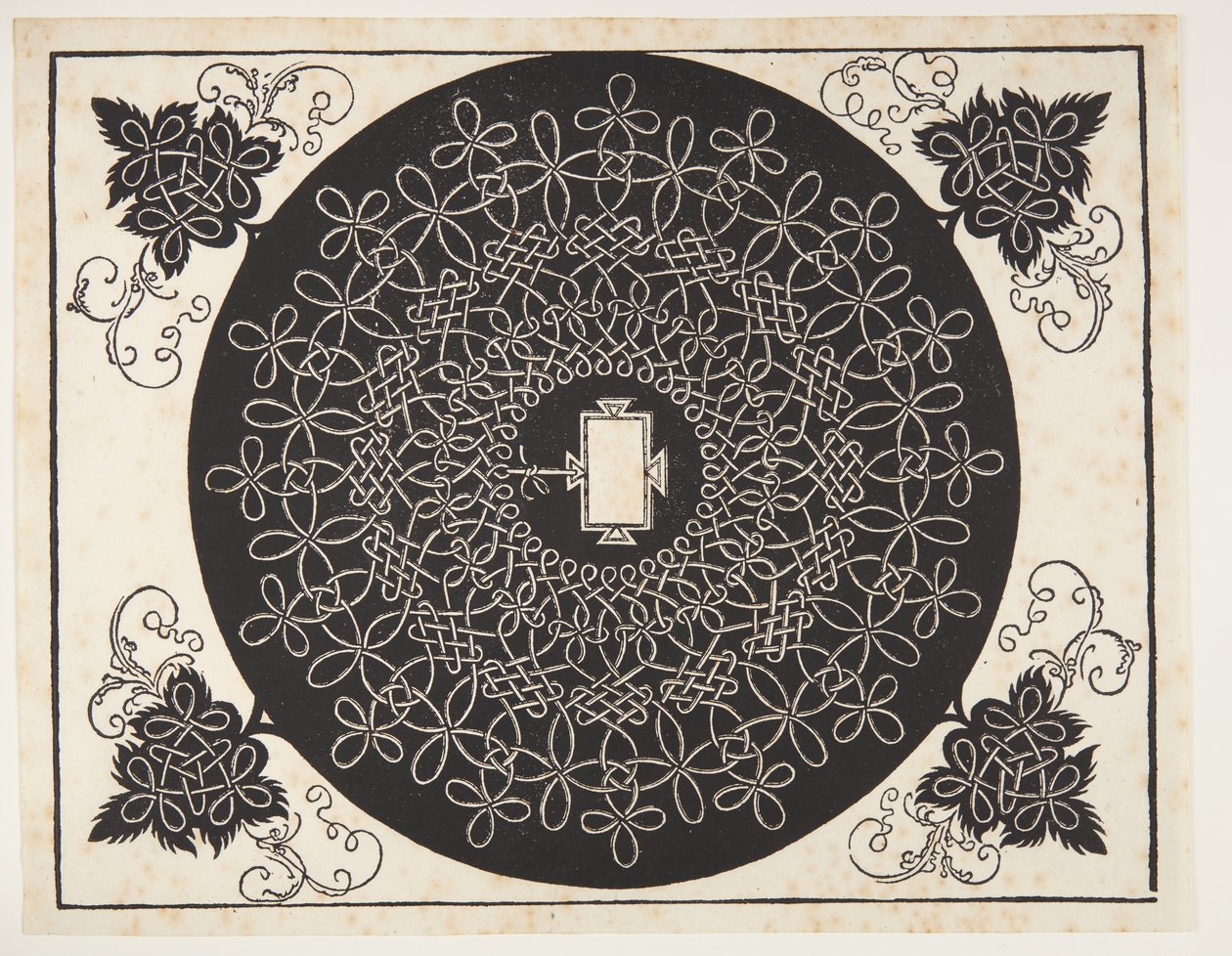 Motif de cordon entrelacé avec bouclier oblong - Albrecht Dürer