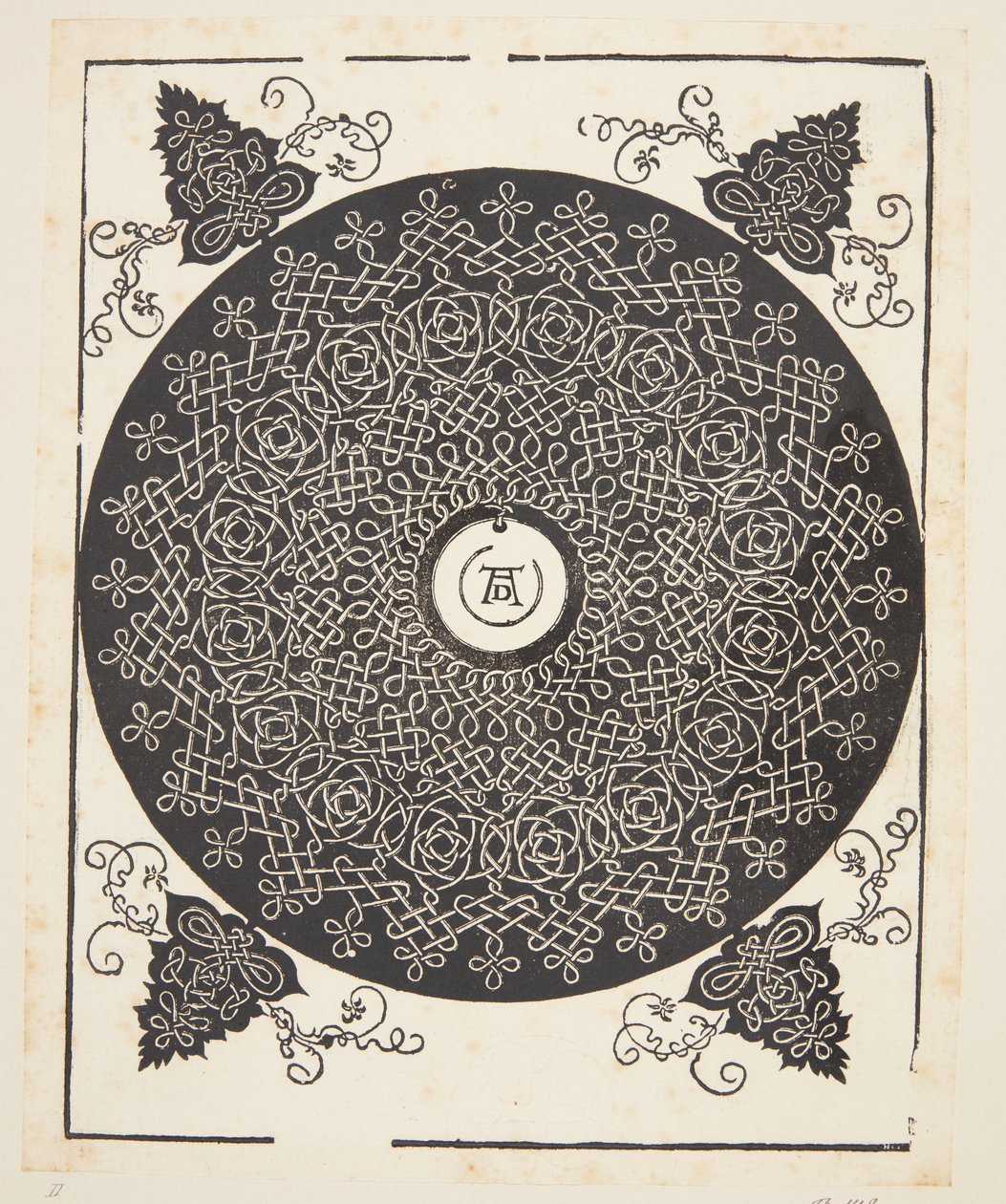 Motif de cordon entrelacé avec médaillon blanc - Albrecht Dürer