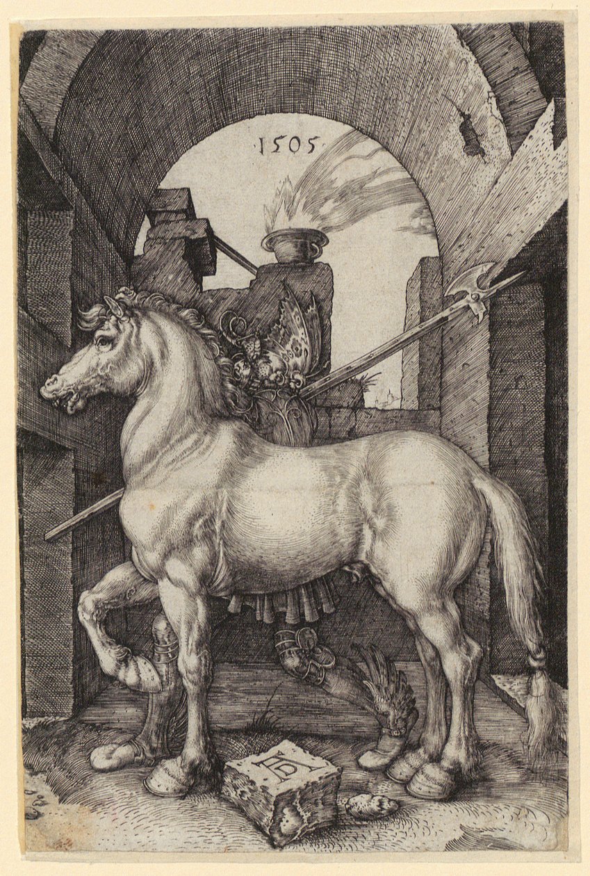 Petit cheval - Albrecht Dürer