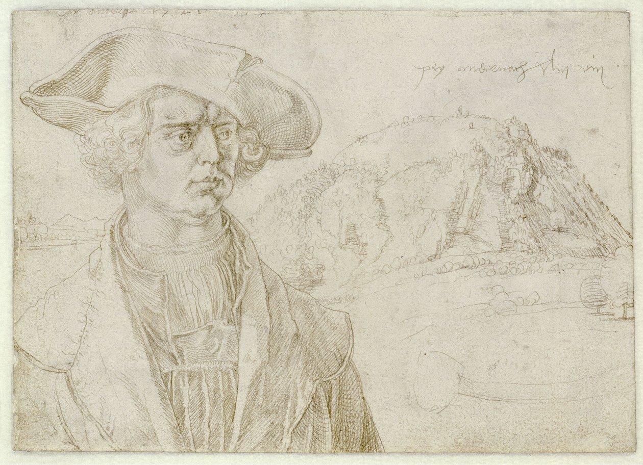 Portrait de poitrine d