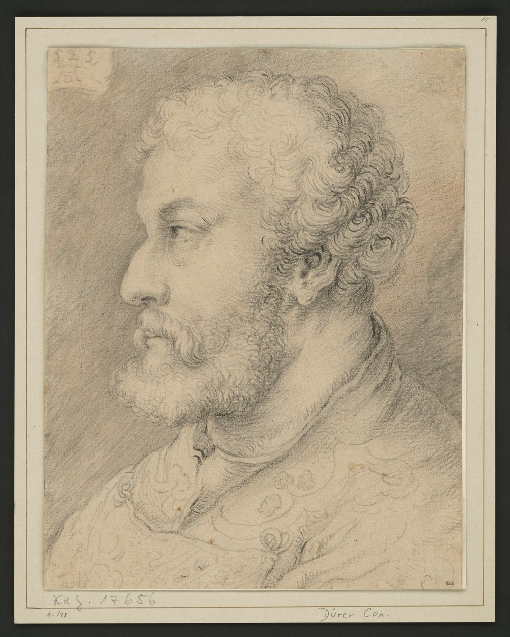 Portrait de profil de Raymund Fugger ? - Albrecht Dürer