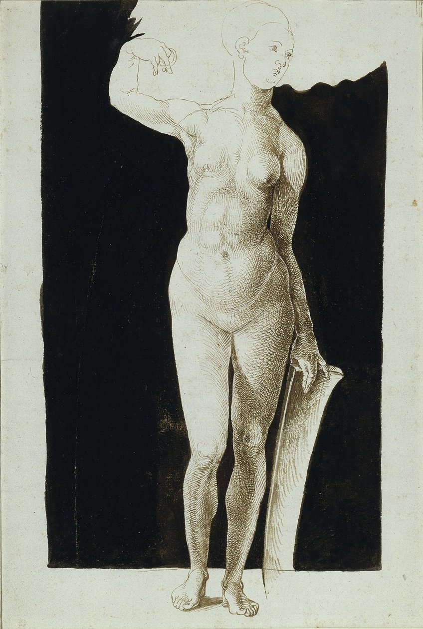 Étude de proportion de nu féminin avec un bouclier, 1500 - Albrecht Dürer