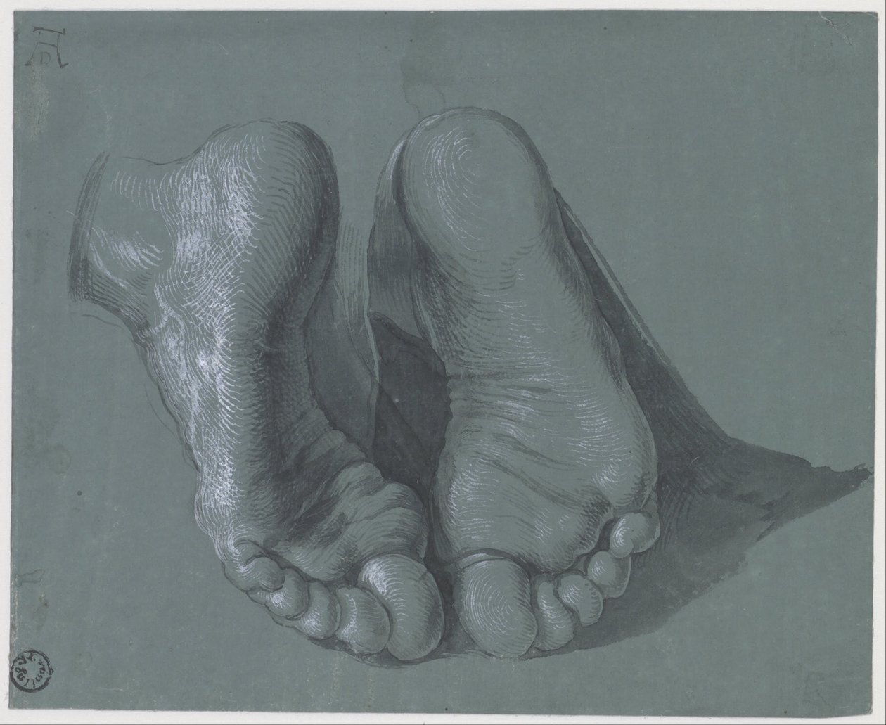 Étude des deux pieds - Albrecht Dürer