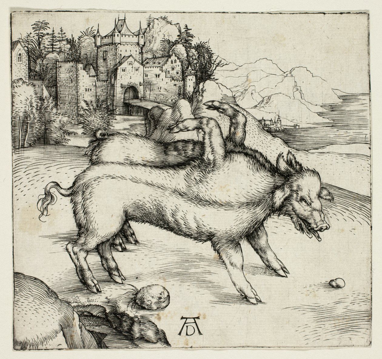 La truie monstrueuse de Landser - Albrecht Dürer