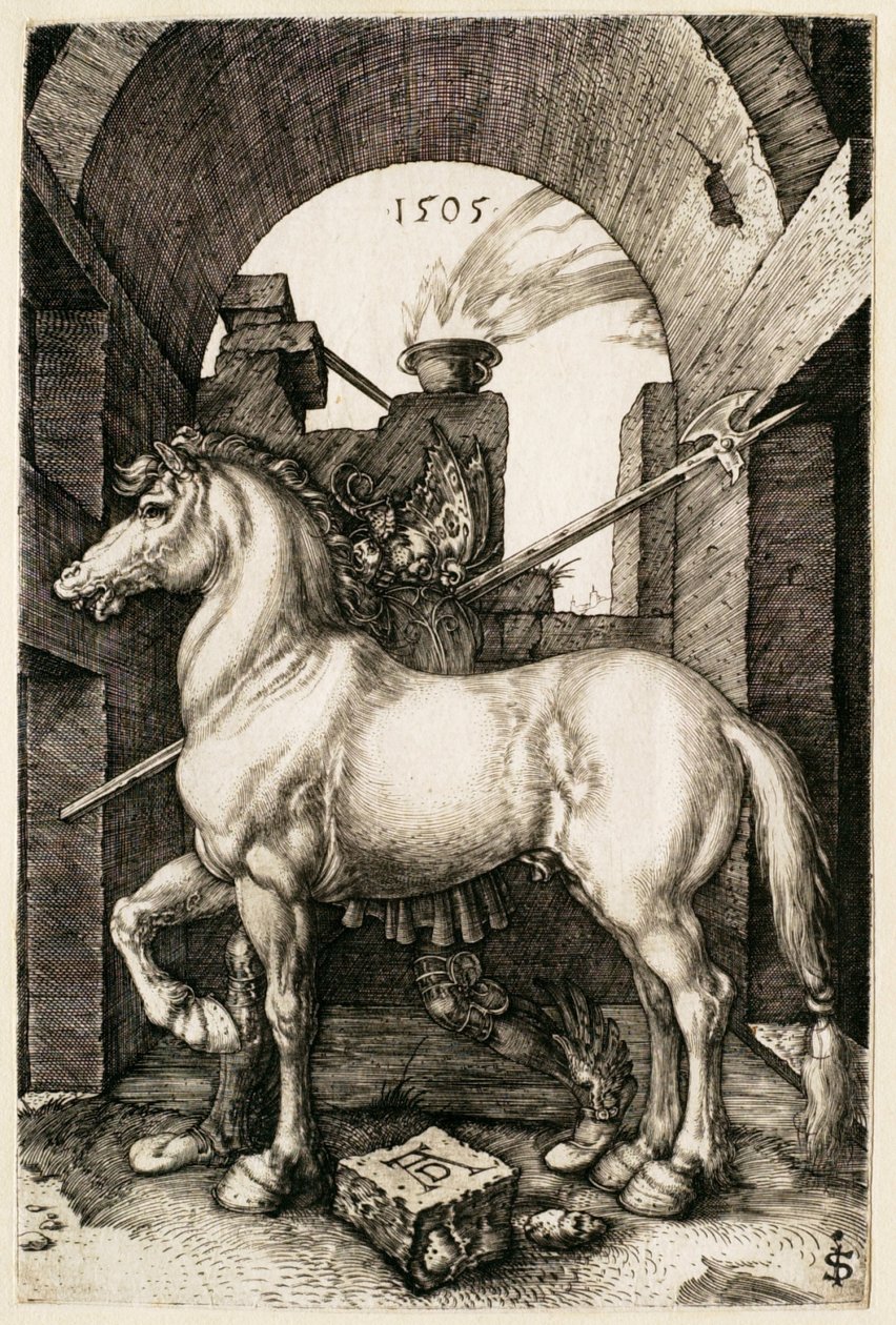 Le petit cheval - Albrecht Dürer