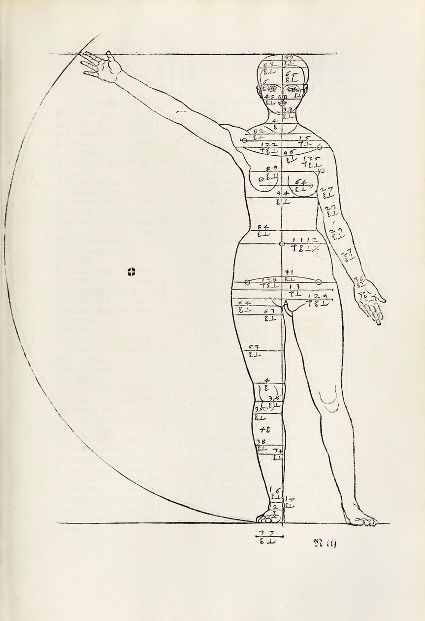 Gravure anatomique féminine de 