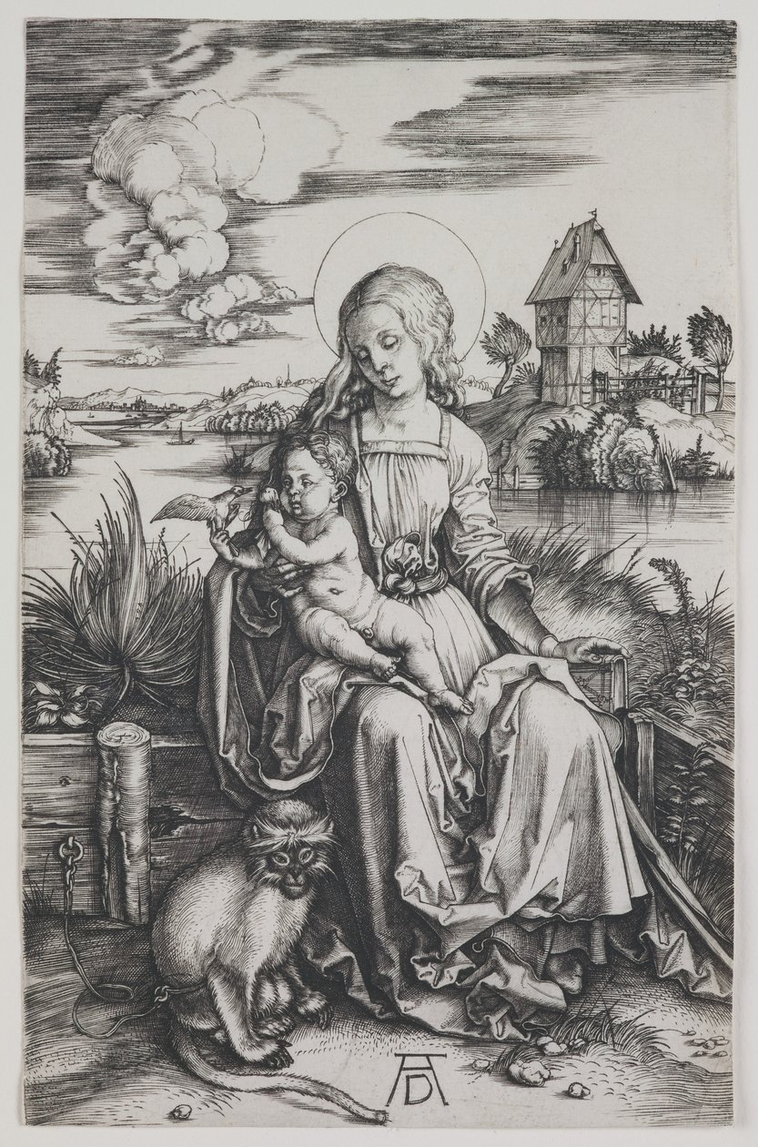 Madone au singe, vers 1498 (gravure) - Albrecht Dürer or Duerer