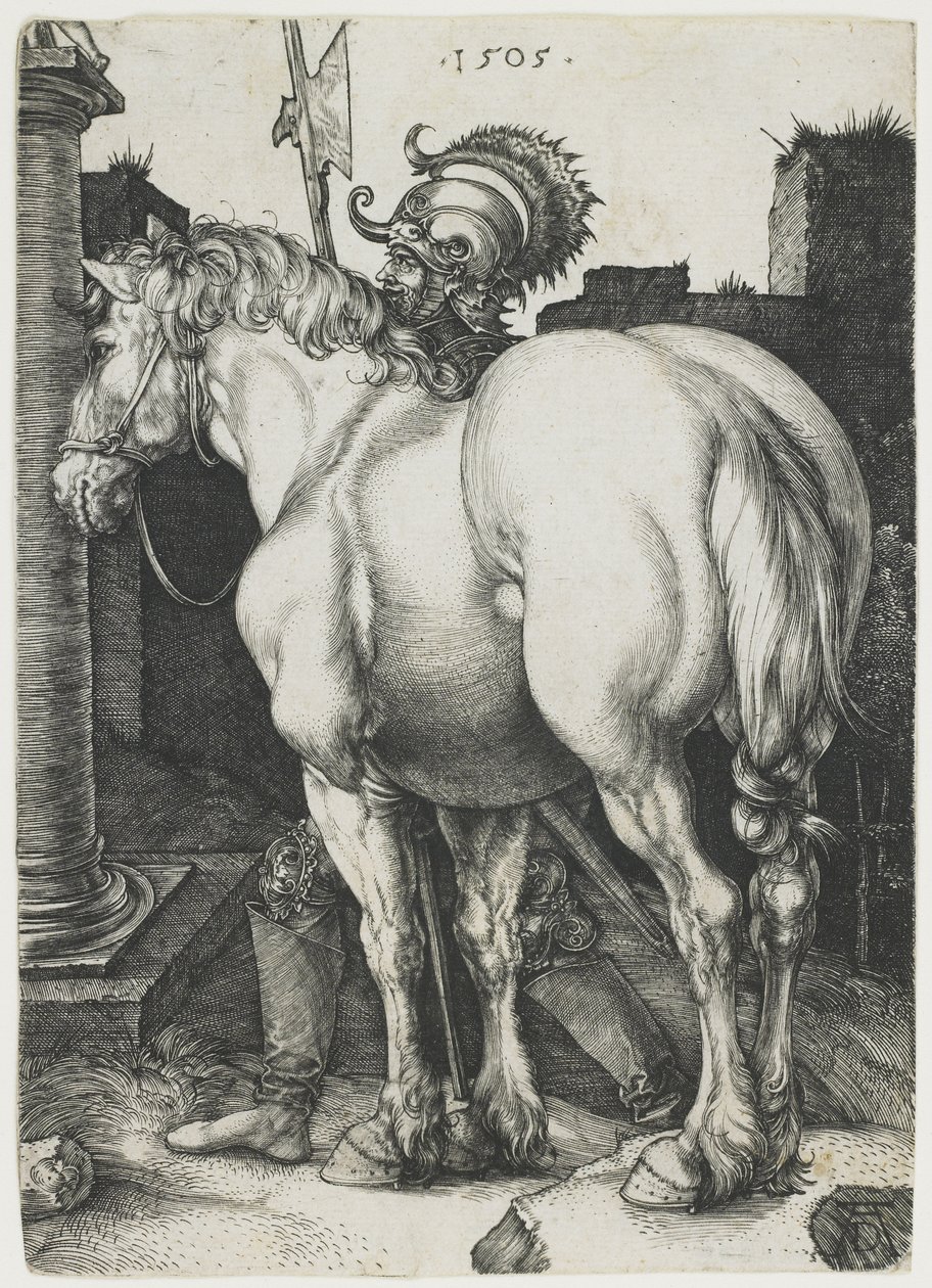 Le Grand Cheval - Albrecht Dürer