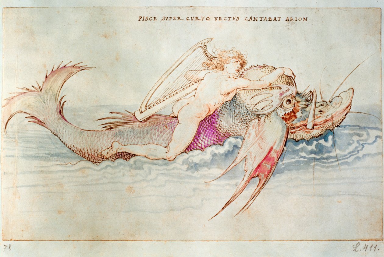 Le poète grec Arion chevauchant le dauphin, vers 1515 (aquarelle sur papier) - Albrecht Dürer or Duerer