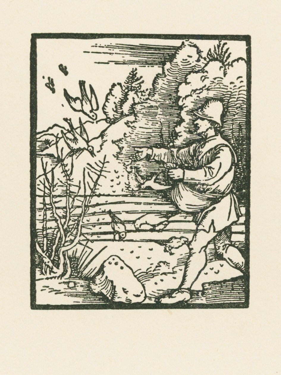 La parabole du semeur - Albrecht Dürer or Duerer