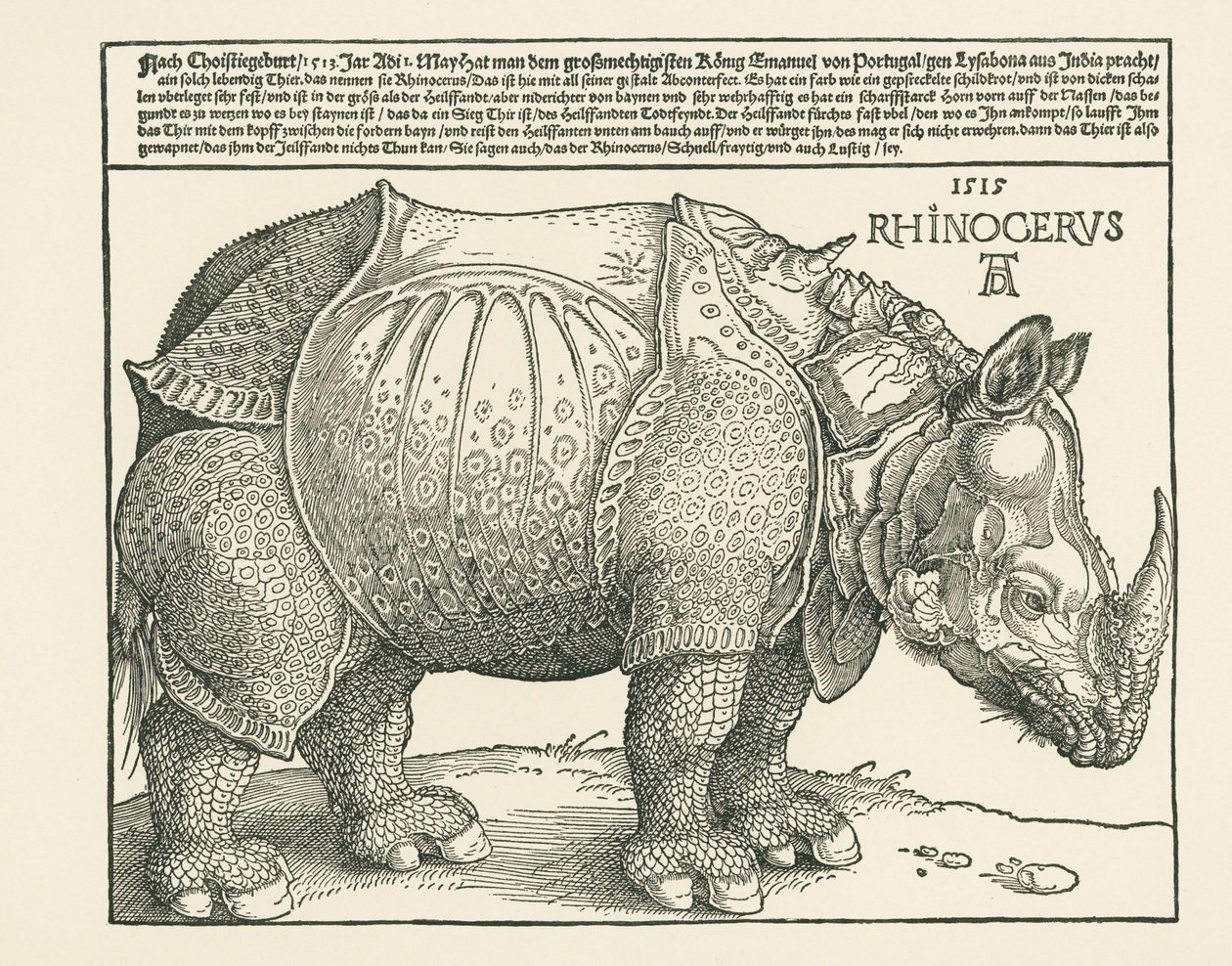 Le rhinocéros - Albrecht Dürer or Duerer