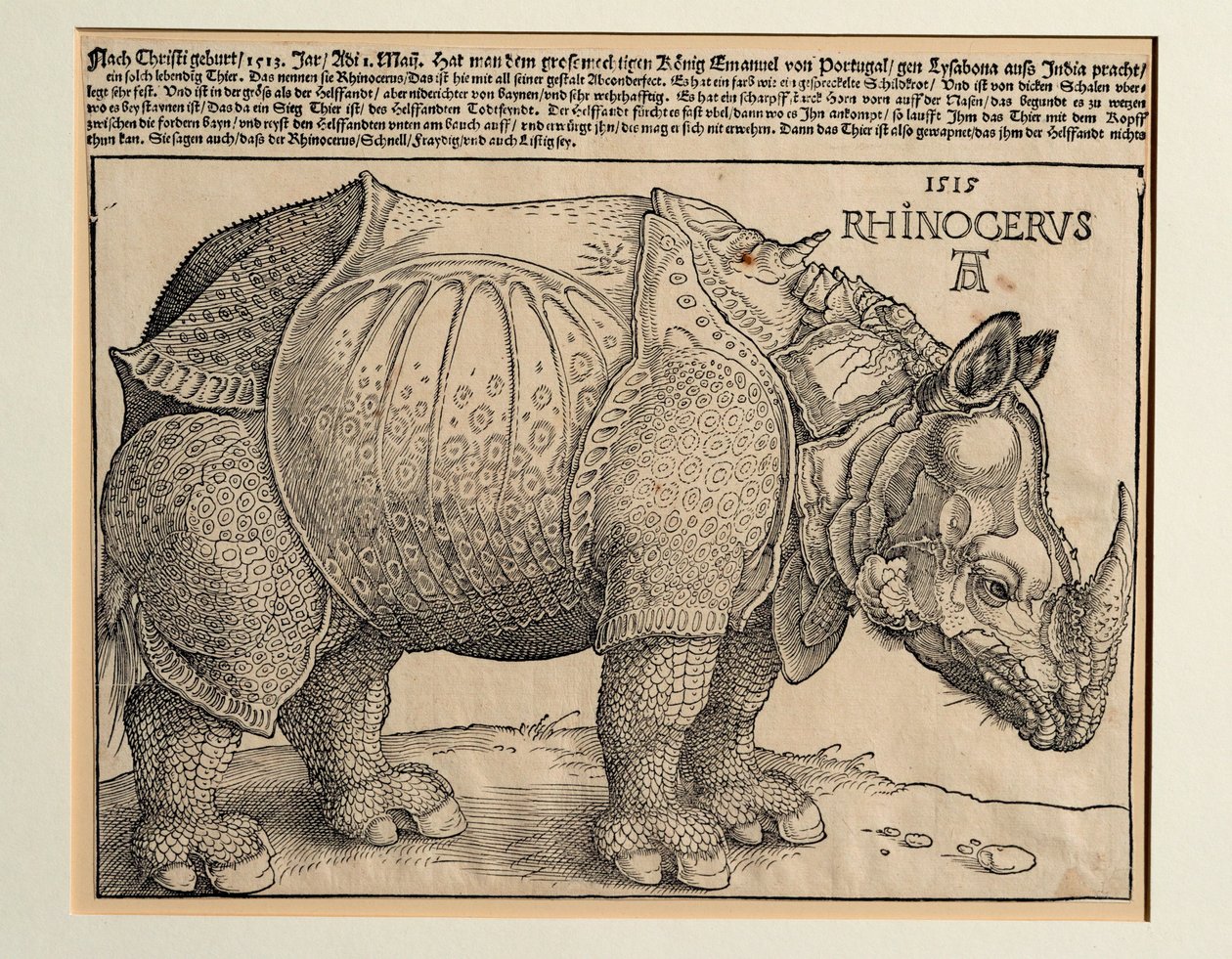 Le rhinocéros - Albrecht Dürer or Duerer