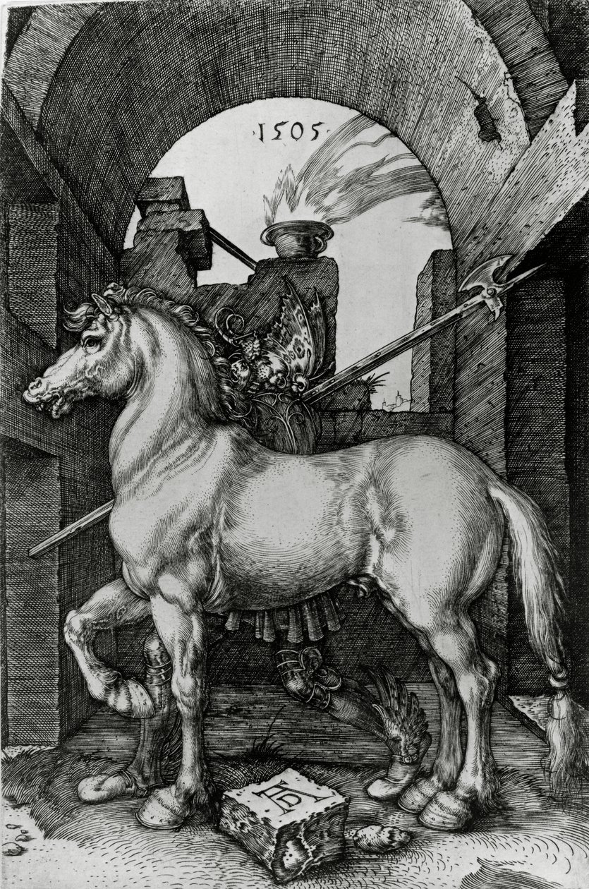 Le Petit Cheval - Albrecht Dürer