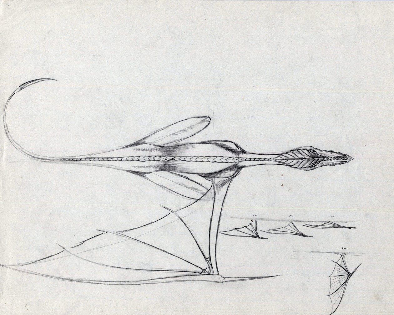 Animal légendaire pour illustration fantastique : étude pour un dragon - Alessandro Lonati