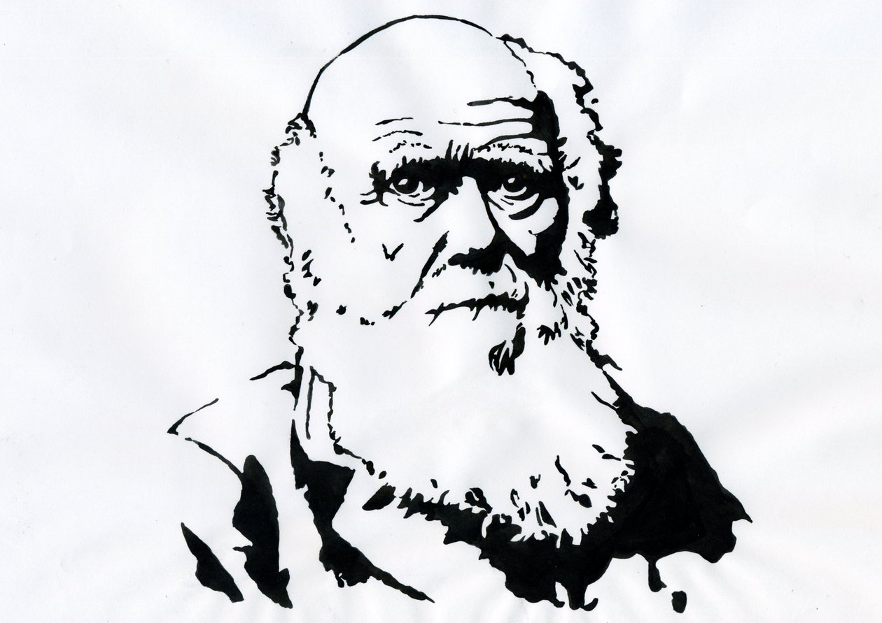 Portrait de Charles Darwin - Portrait du naturaliste anglais Charles Darwin (1809-1882). - Alessandro Lonati