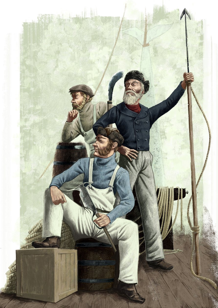 Trois baleines - Alessandro Lonati