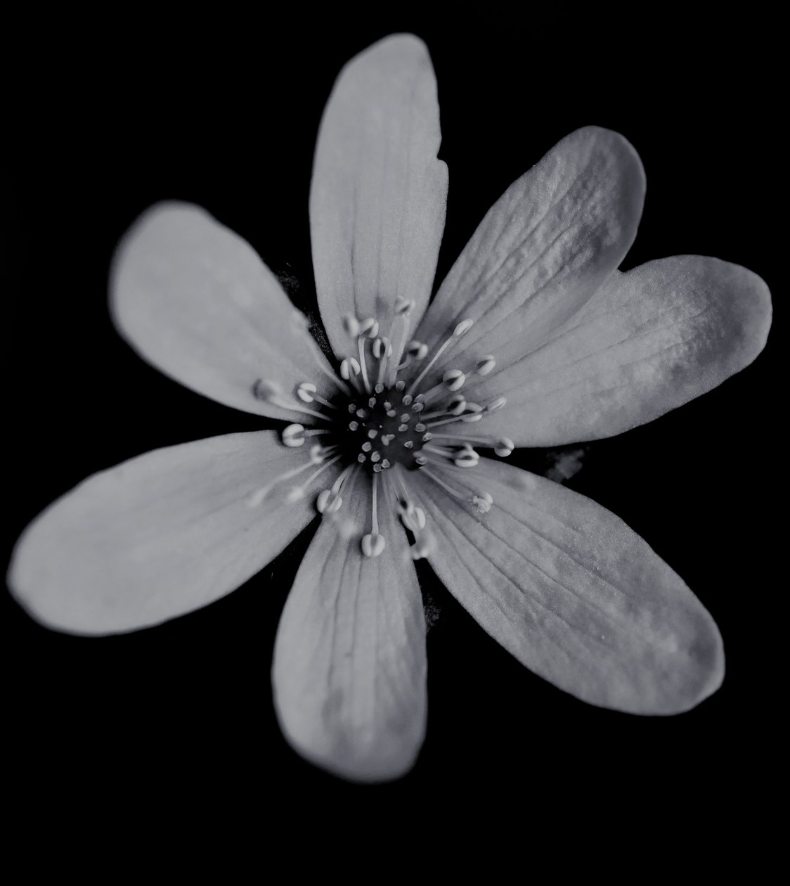 Sans titre, 2019 - Alex Caminker