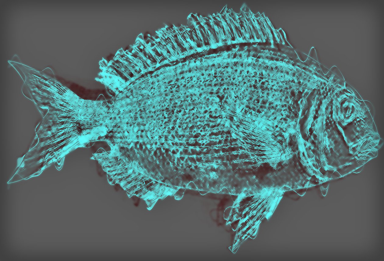 Poisson II, 2020 - Alex Caminker