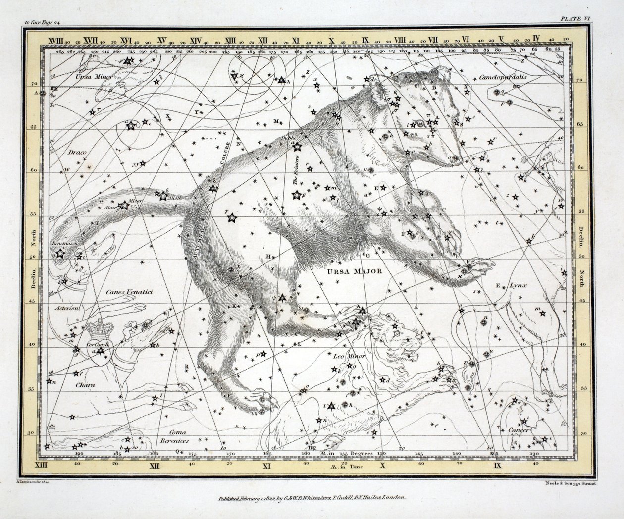 Les Constellations (Planche VI) Ursa Major, de 