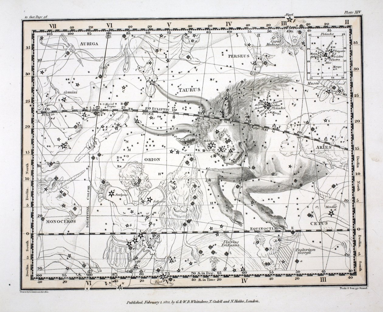 Les Constellations (Planche XIV) Taureau, de 