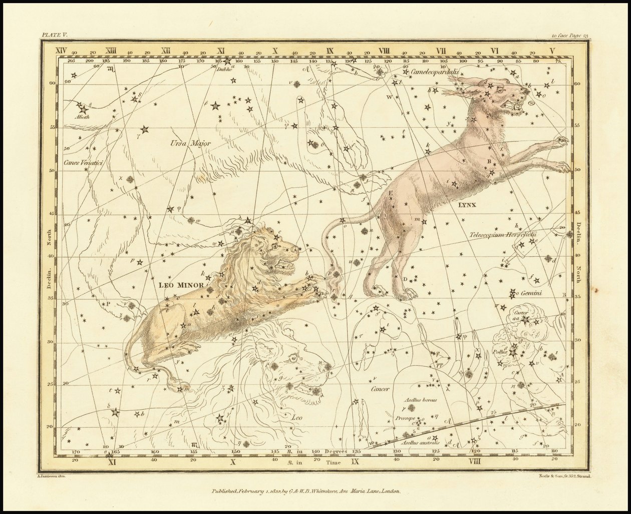 1822 - Alexander Jamieson - Lynx et Leo Minor - Alexander Jamieson