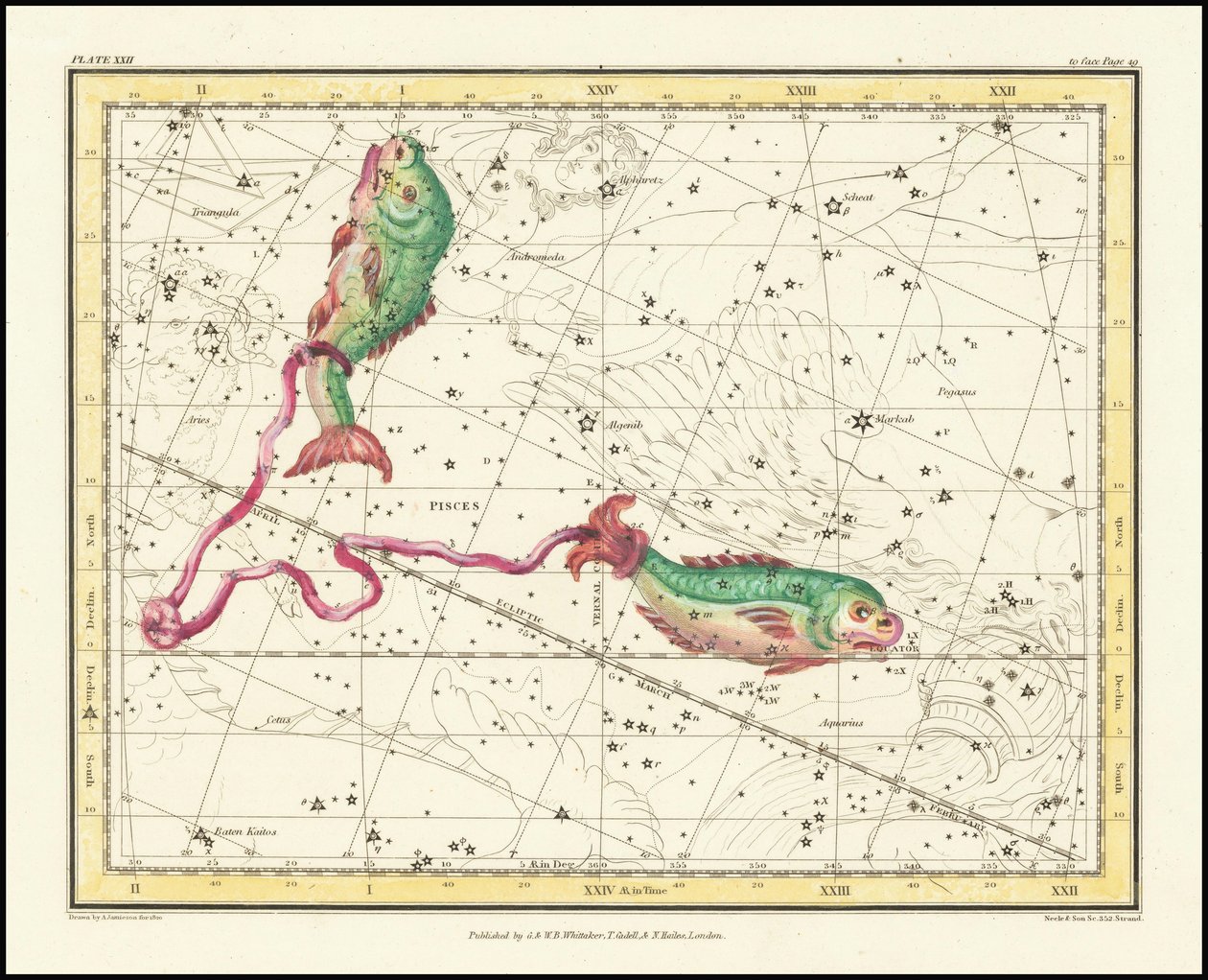 1822 - Alexander Jamieson - Poissons - Alexander Jamieson
