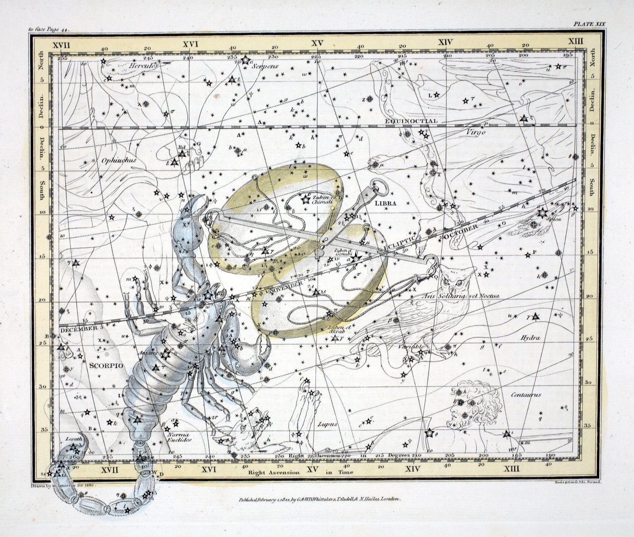 Les constellations (Planche XIX) Balance et Scorpion, de 