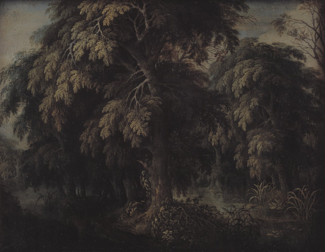 Paysage boisé - Alexander Keirincx