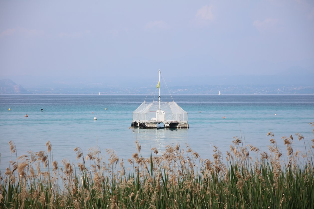 calme au lac - Alexandra Joseph