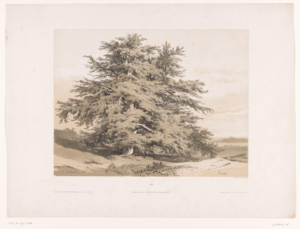 Paysage avec cèdres - Alexandre Calame