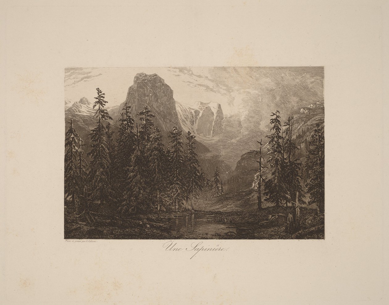 Une Sapinière - Alexandre Calame