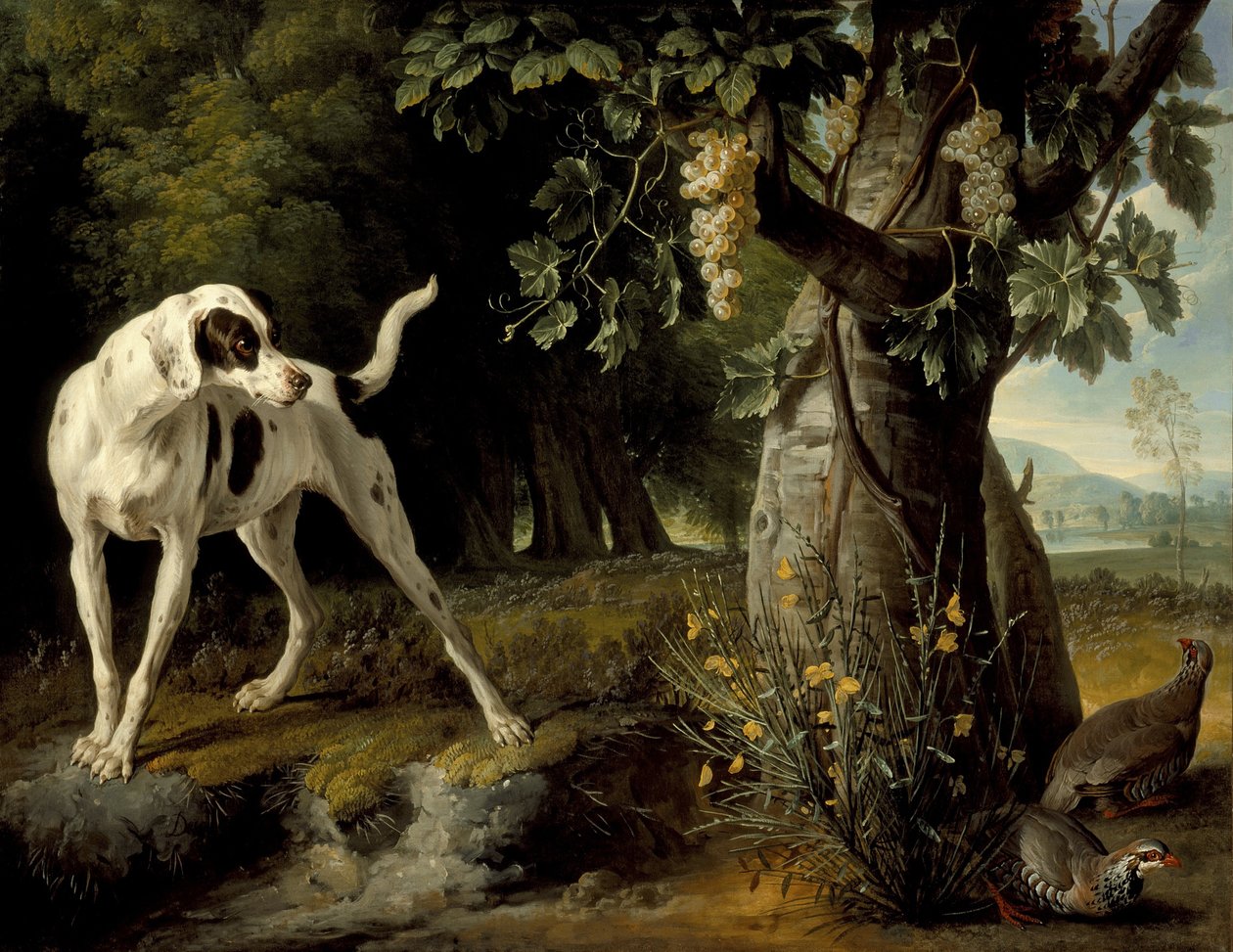Paysage avec un chien et des perdrix, 1719 - Alexandre Francois Desportes