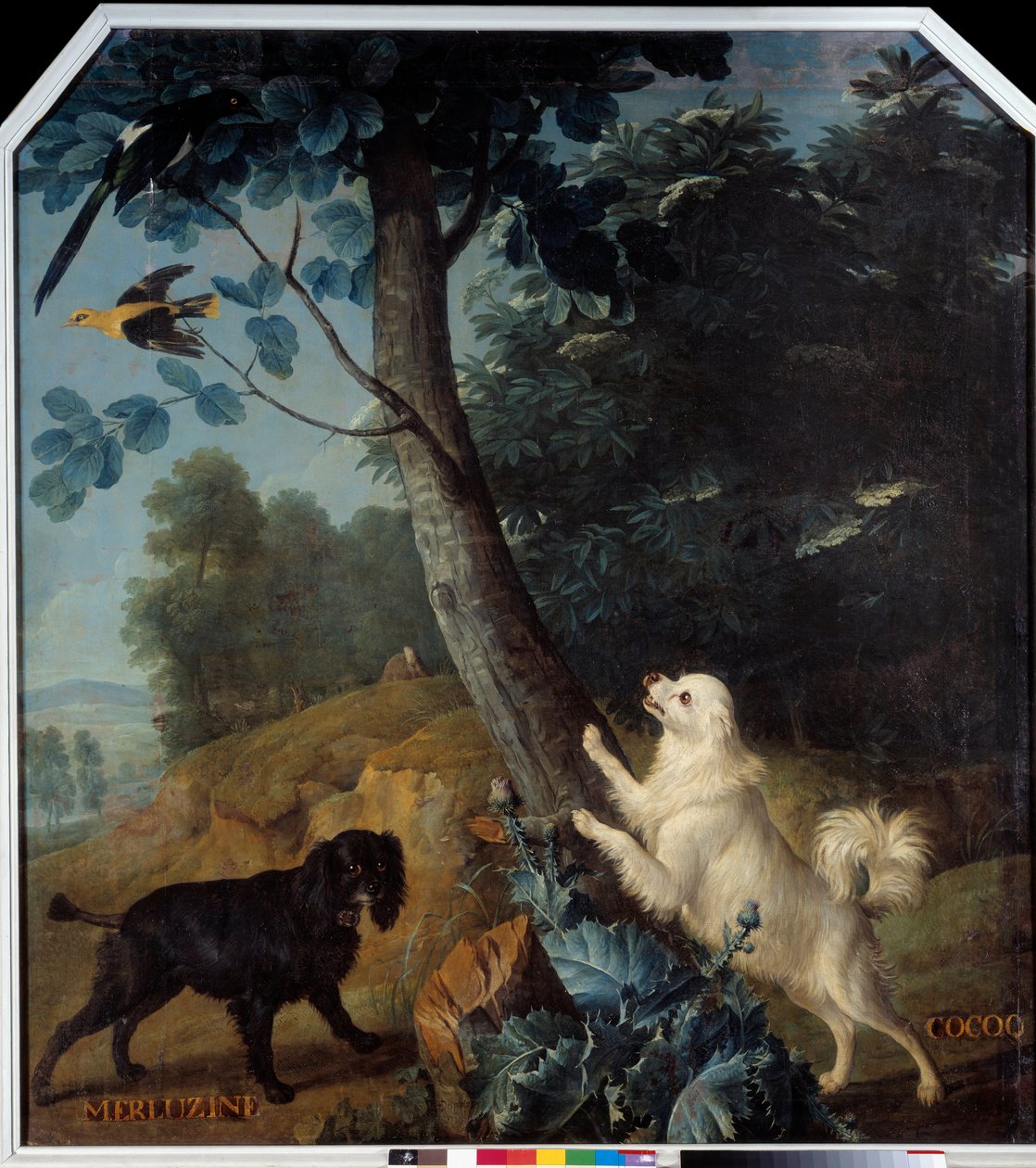 Merluzine et Cocoq, les chiens de Louis XIV (1638-1715) - Alexandre-Francois Desportes
