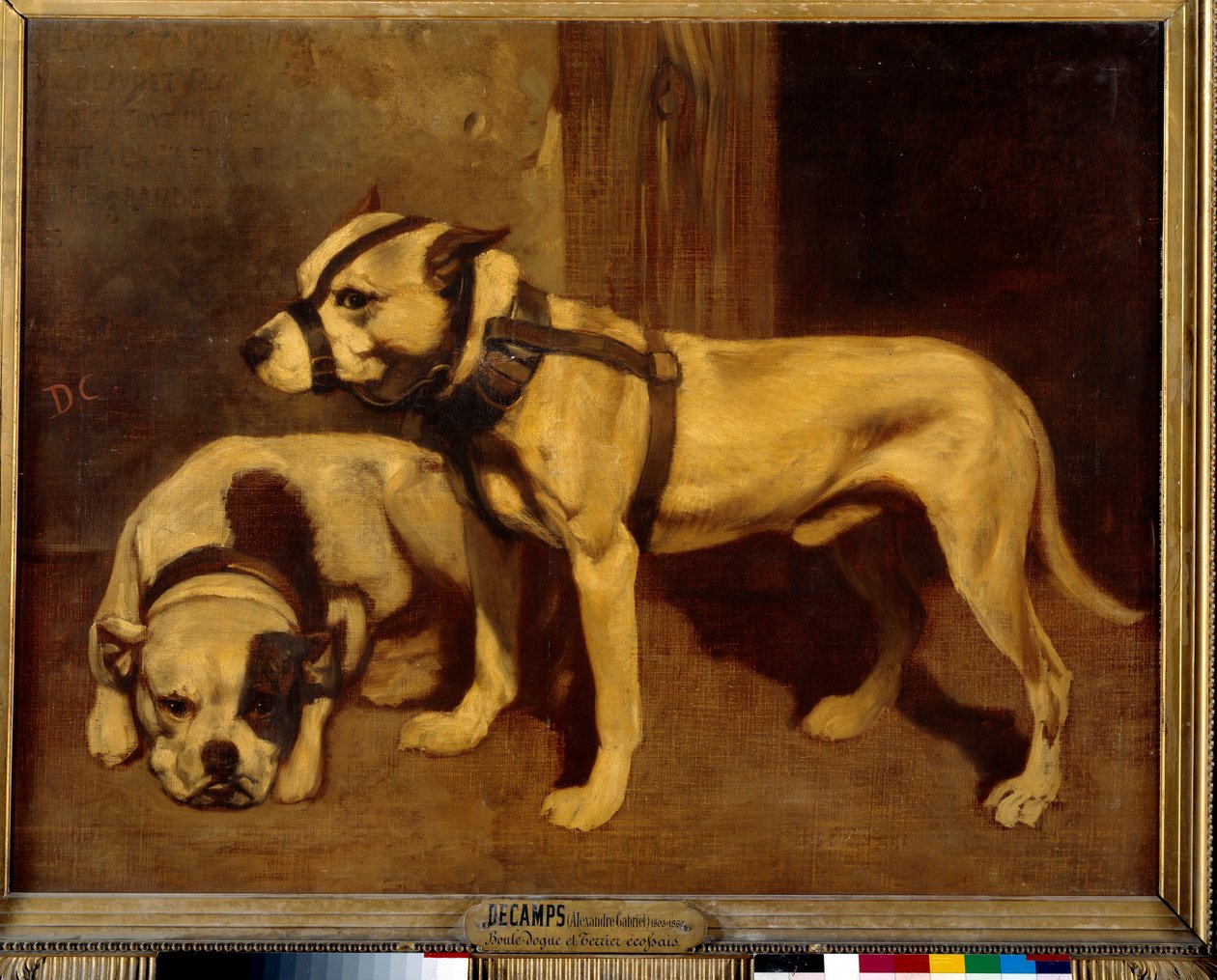 Bouledogue écossais et terrier Mauvais chien avec muselière - Alexandre Gabriel Decamps