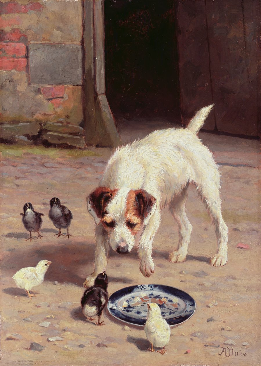 Confrontation - Alfred Duke