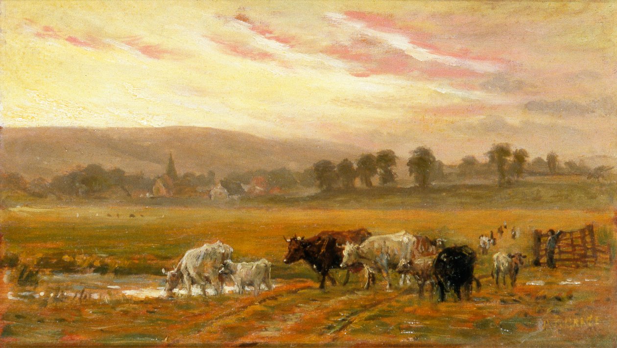Coucher de soleil près d