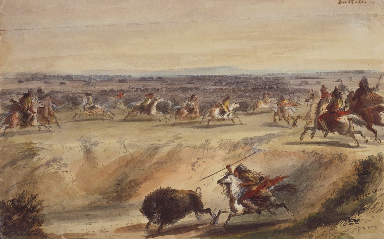 Une chasse au bison - Alfred Jacob Miller