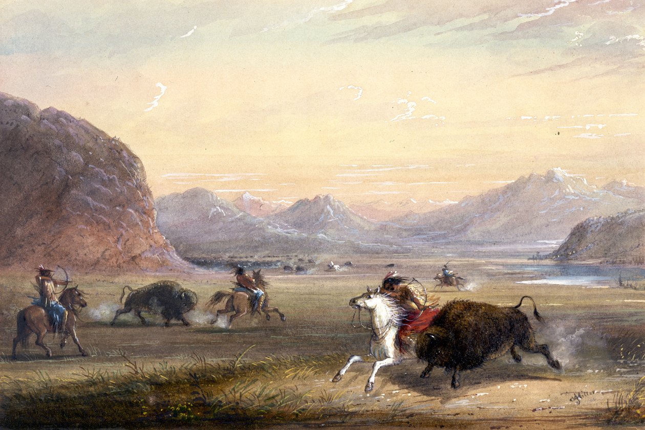 Chasse au bison, près d