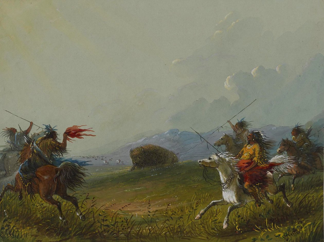 Bison acculé - Alfred Jacob Miller