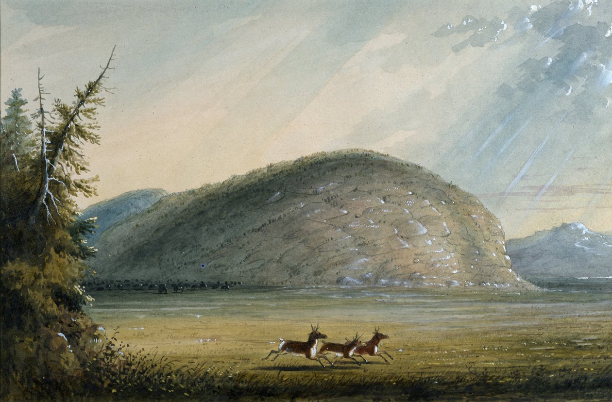 Rocher de l